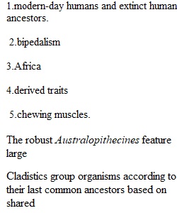 Chapter 7 Quiz